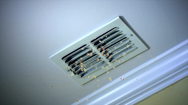 Best Air Duct Cleaning Near Me in AZ