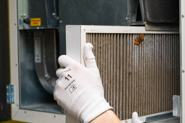 Best Air Duct Sanitizing Services  in Whiteriver, AZ