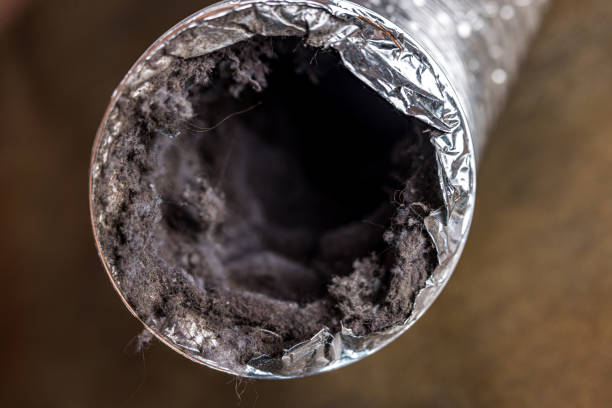 Best Ductwork Cleaning Services  in Whiteriver, AZ