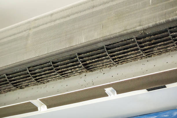 Best Best Air Duct Cleaning Near Me  in Whiteriver, AZ